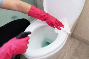 how-to-clean-a-toilet-1900297-01-201c3f2023334460bd082fe848a64c67 toilet
