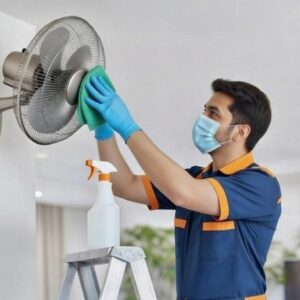 Wall Fan Cleaning